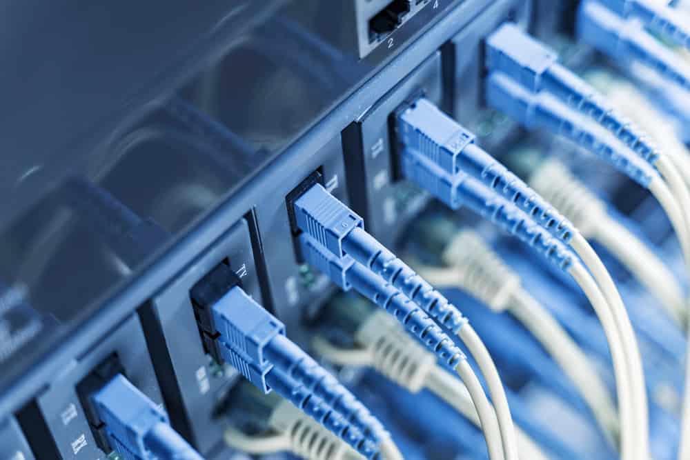 Close-up of several blue and beige Ethernet cables plugged into a row of network switches, illustrating the seamless blend of modern connectivity and sustainable practices like electronics recycling in today's tech-driven world.