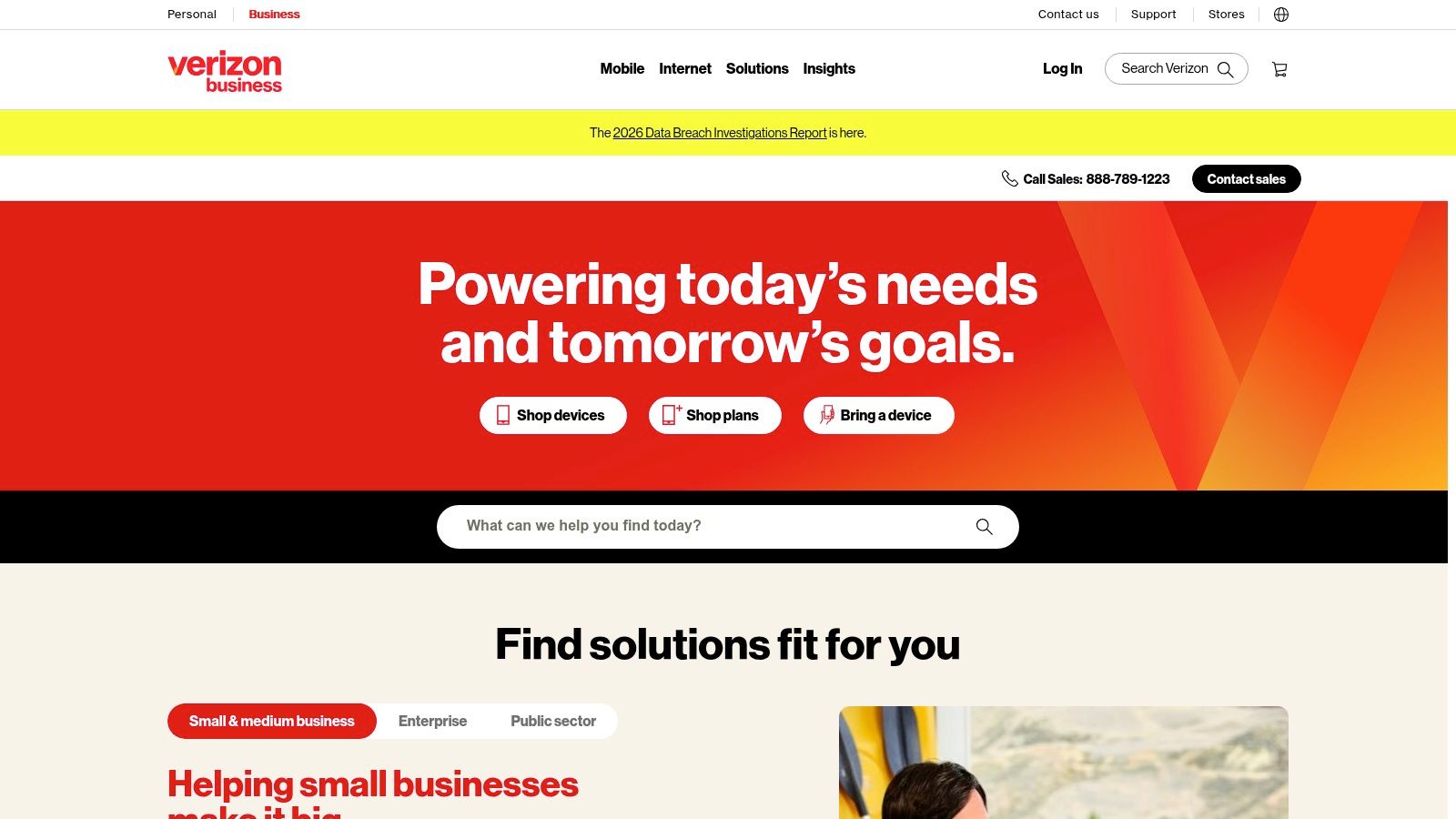 Verizon Business