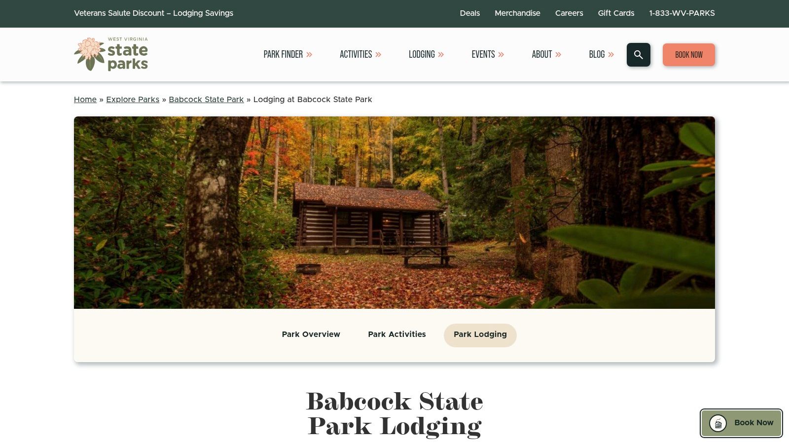Babcock State Park Cabins